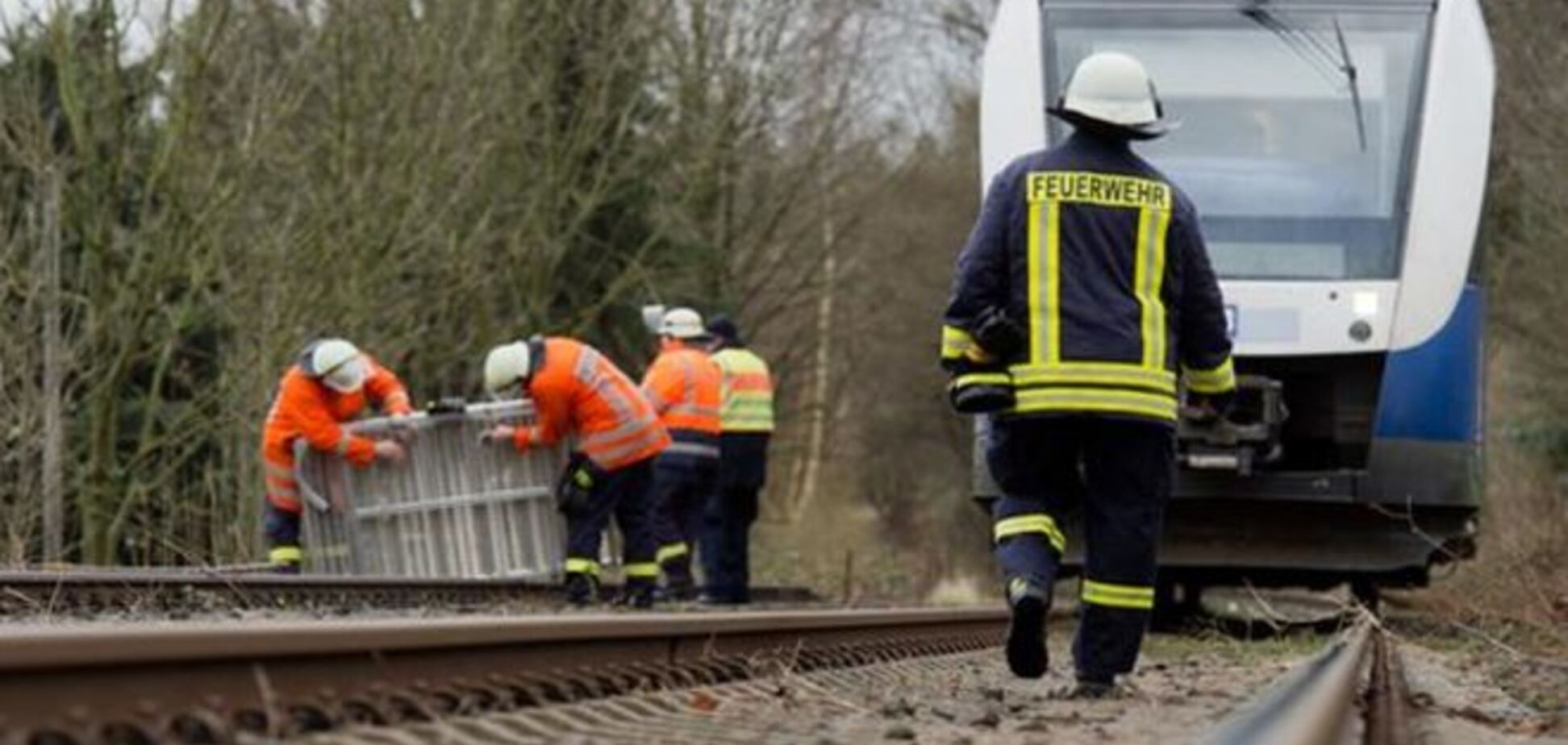 В Германии 220 человек заблокированы в поезде из-за непогоды