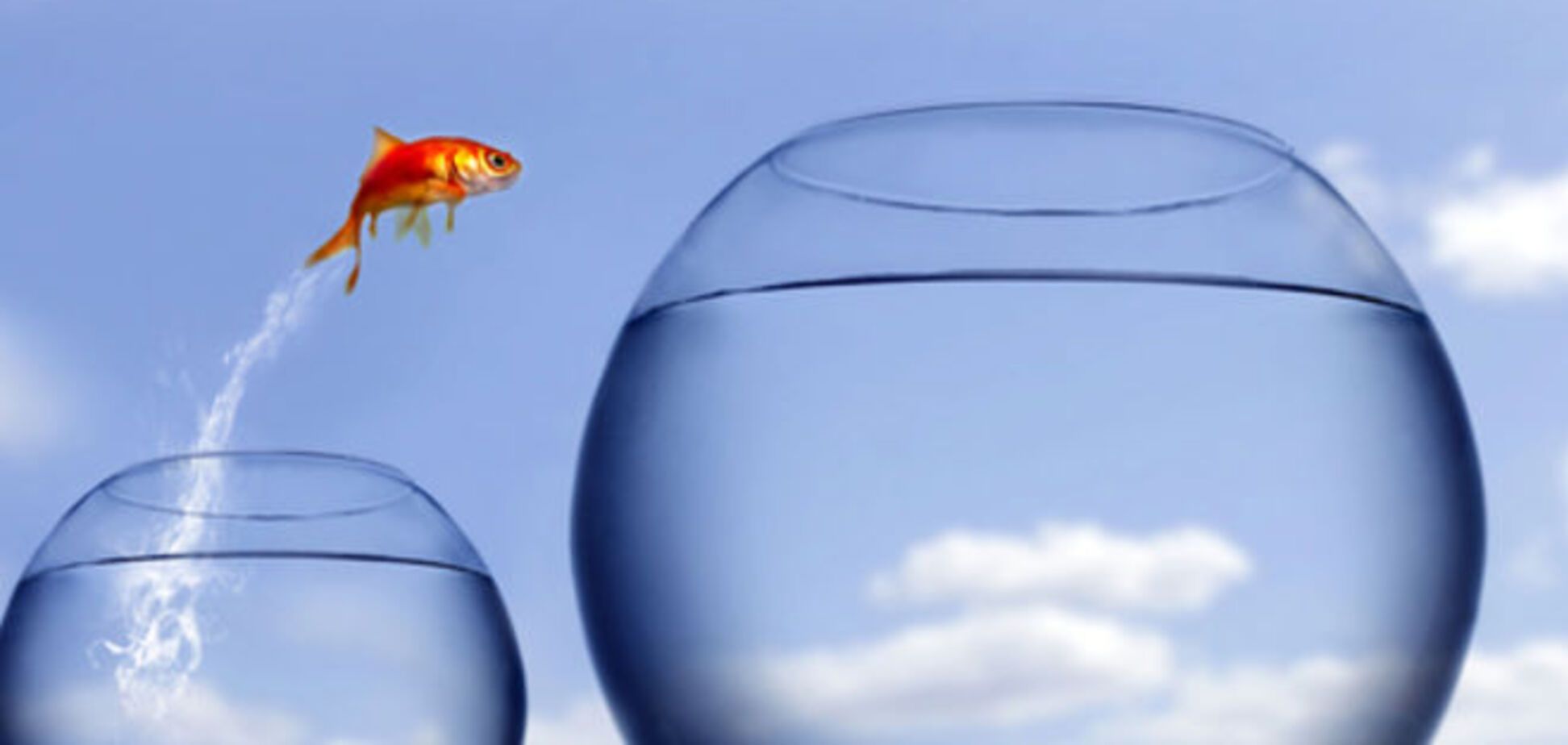 Как перестать бояться неудач