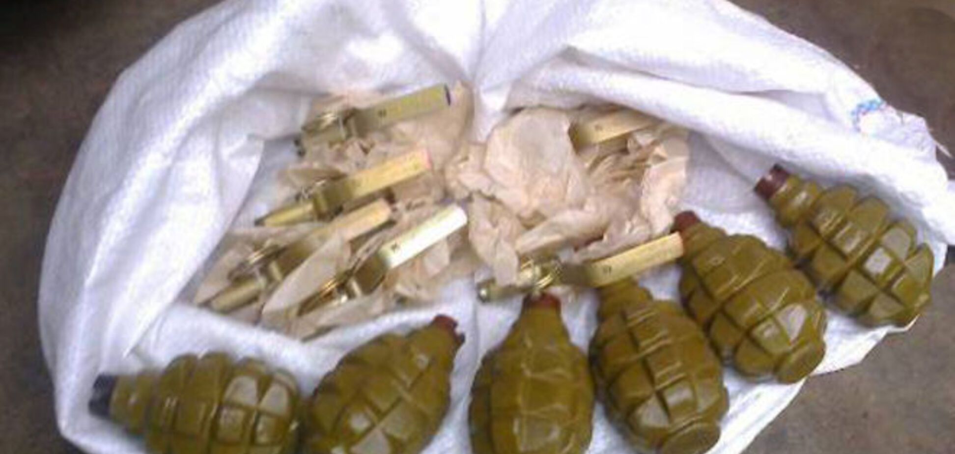 На Киевщине у волонтеров изъяли арсенал боеприпасов