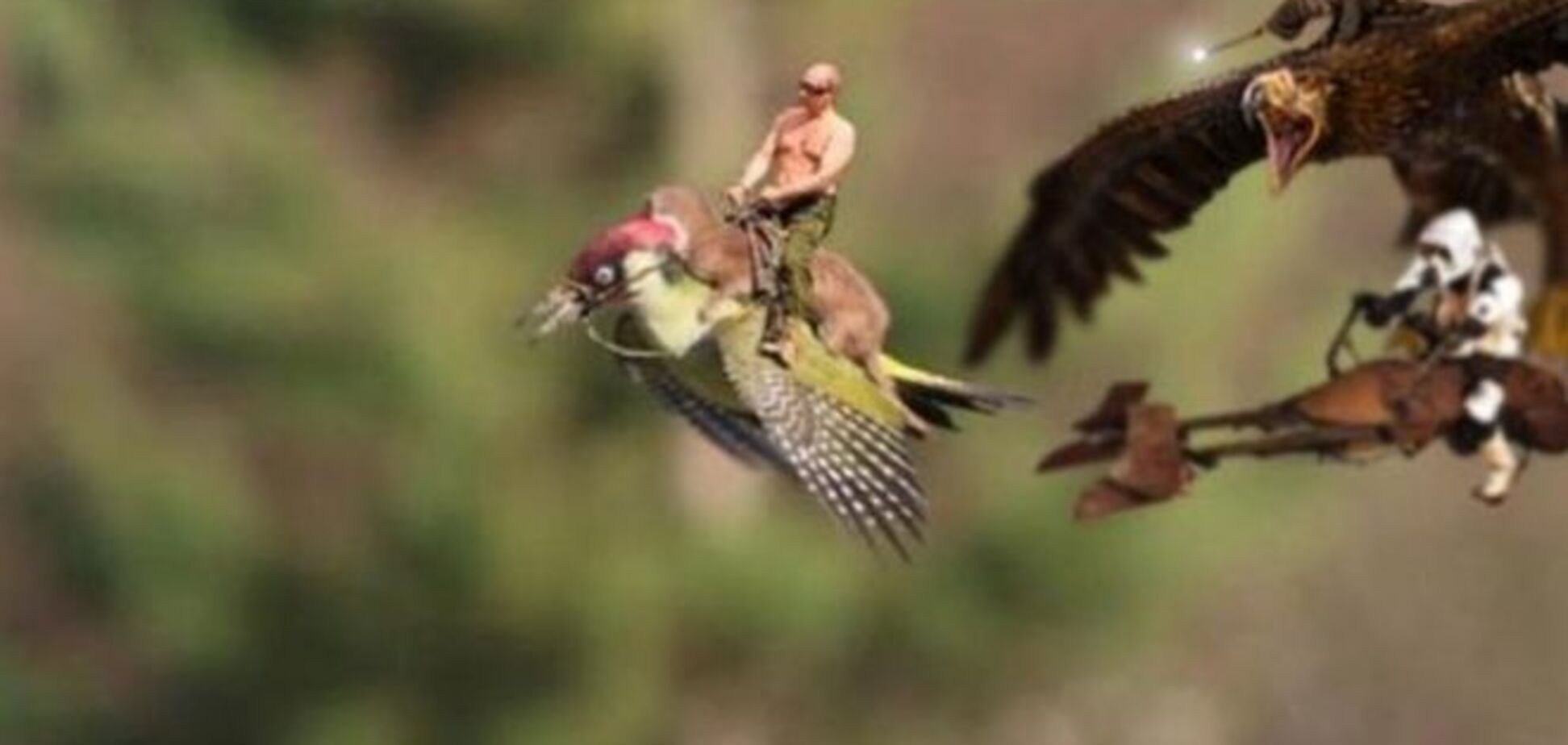 Верхи на ласці: мережа відреагувала фотожабами на дивовижний знімок
