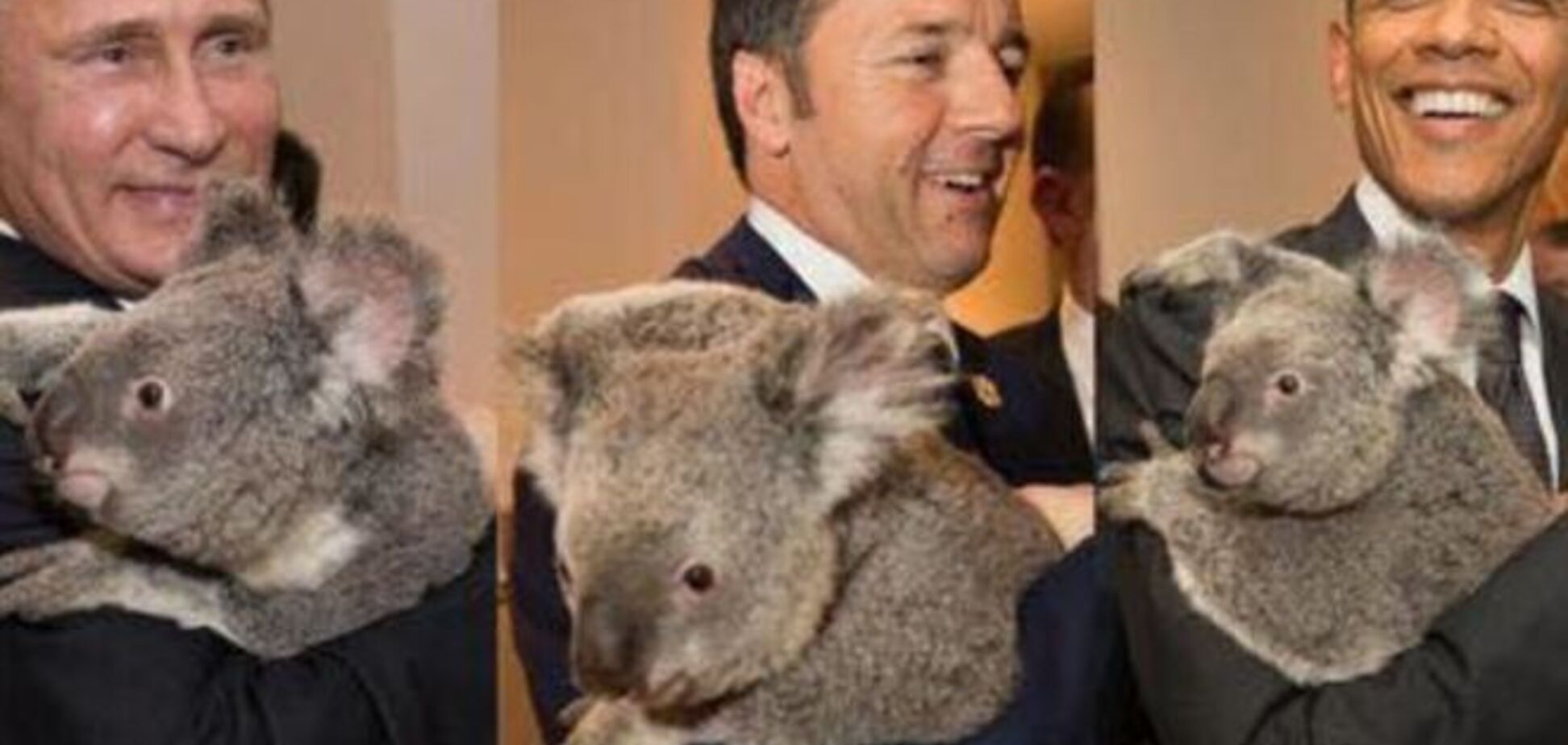 Россия переживает, что в Австралии убили коалу Путина