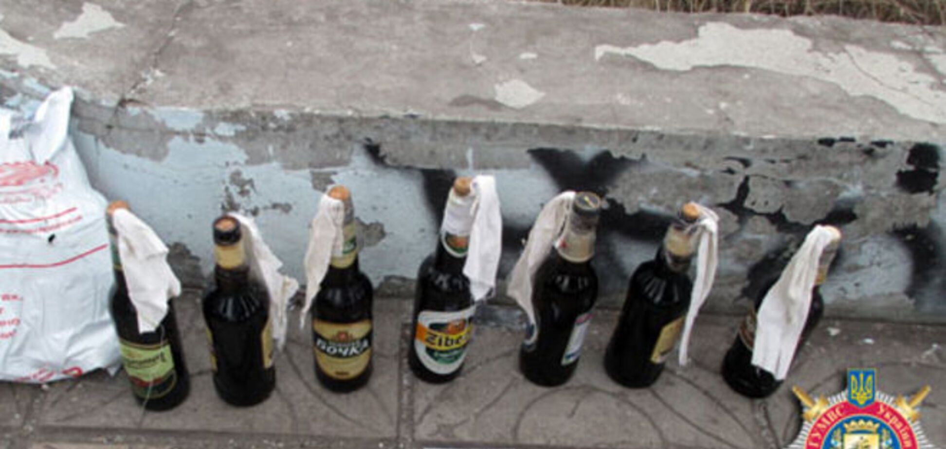 В одном из парков Мариуполя нашли бутылки с коктейлем Молотова: фотофакт