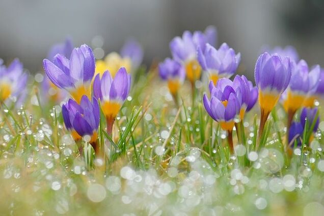 11 марта. Почему этот день очень важен