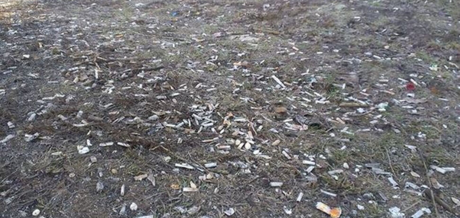 В Киеве под снегом оказалось 'поле бычков': фотофакт