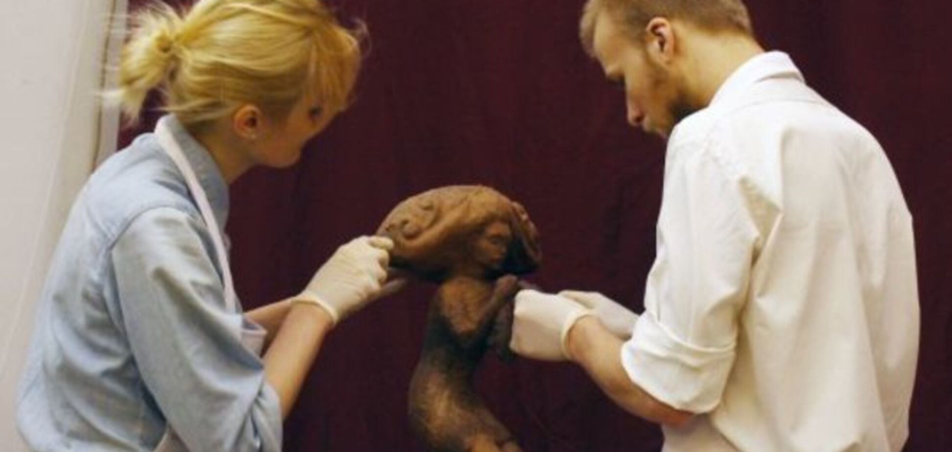 Праздник Шоколада во Львове в самом разгаре: аппетитные фото сладких рекордсменов