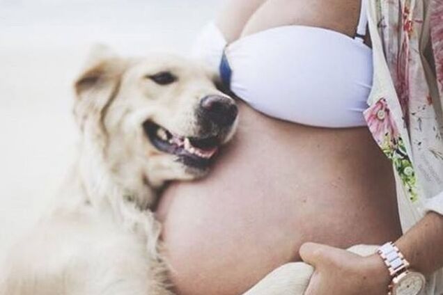 20 собак, которые очень ждут рождения малышей