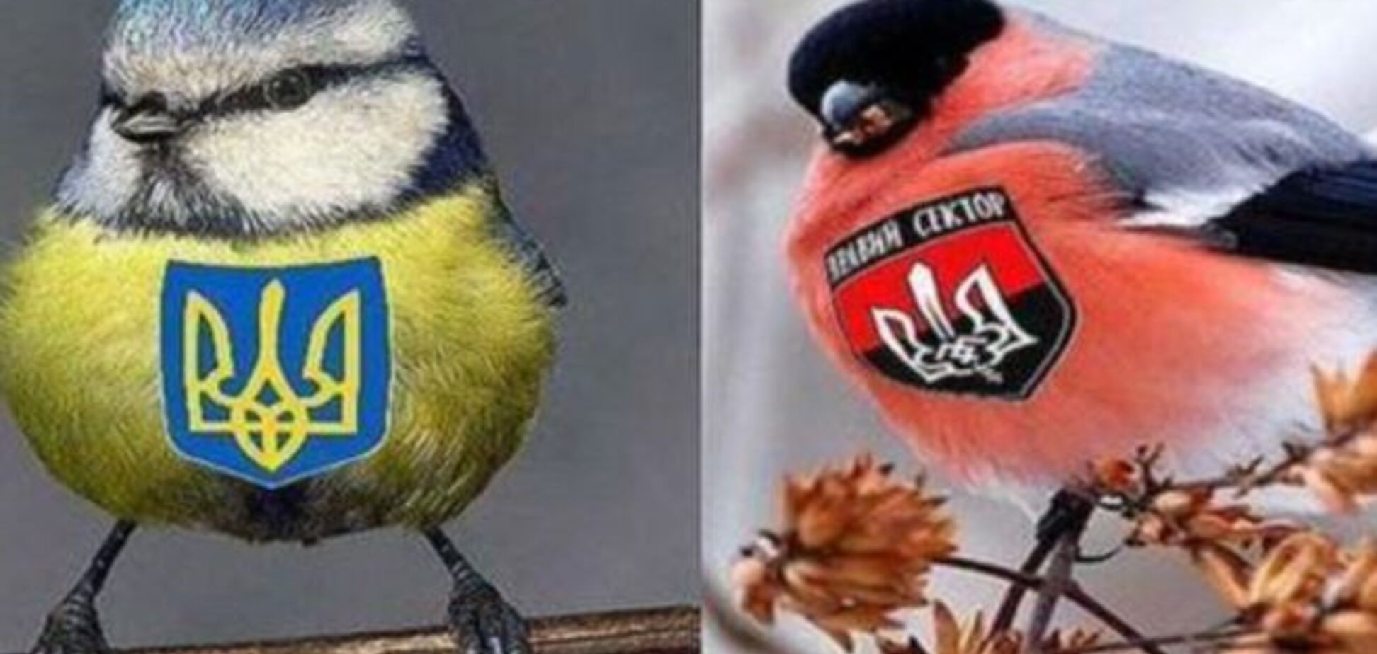 'Куля-в-лоб' и 'сепары'. 30 новых слов, которых мы не знали до Майдана