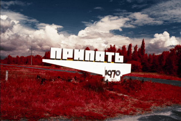 Британский фотограф показал 'привидений' в лесу Чернобыля: фото работ