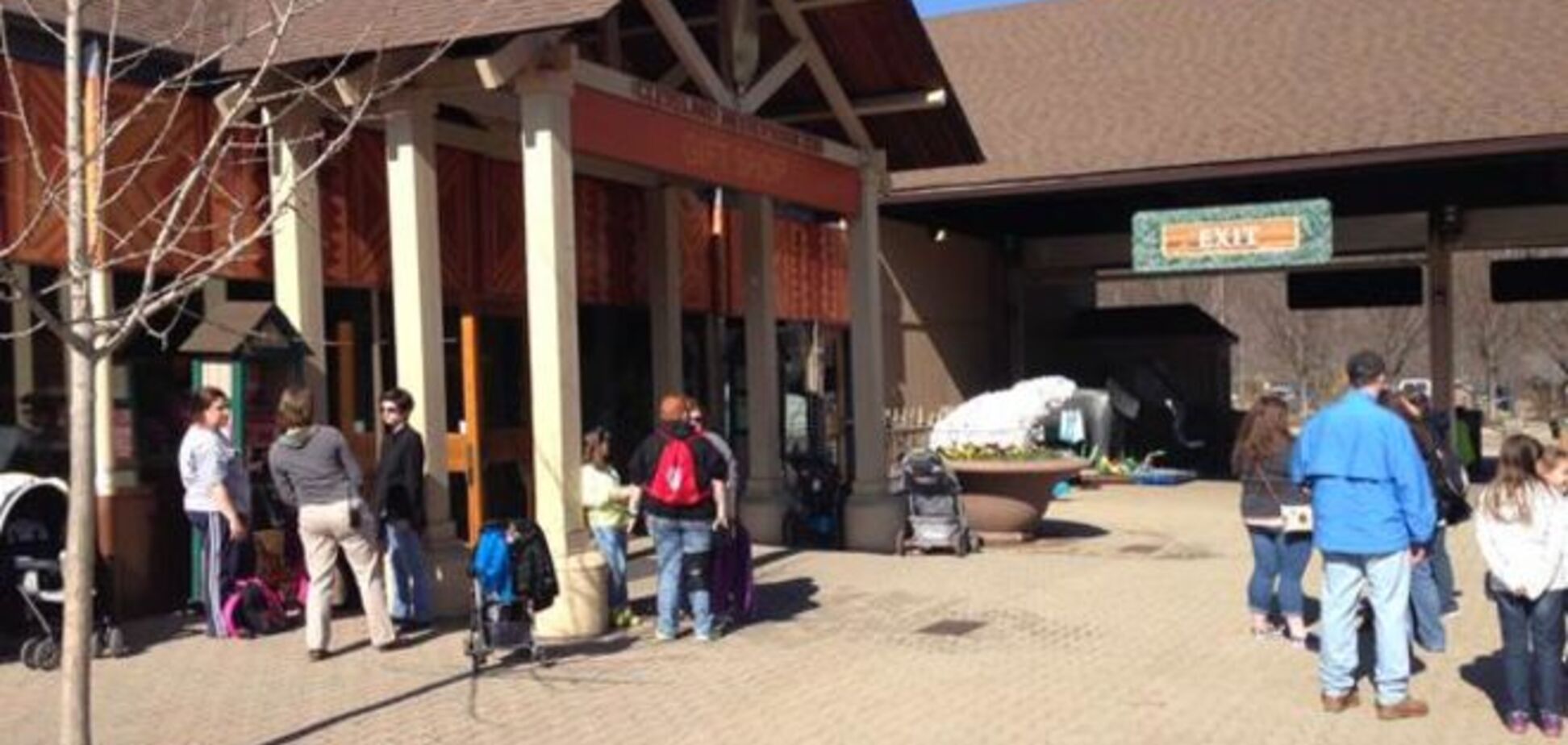 В американском зоопарке малыш упал в вольер с гепардом