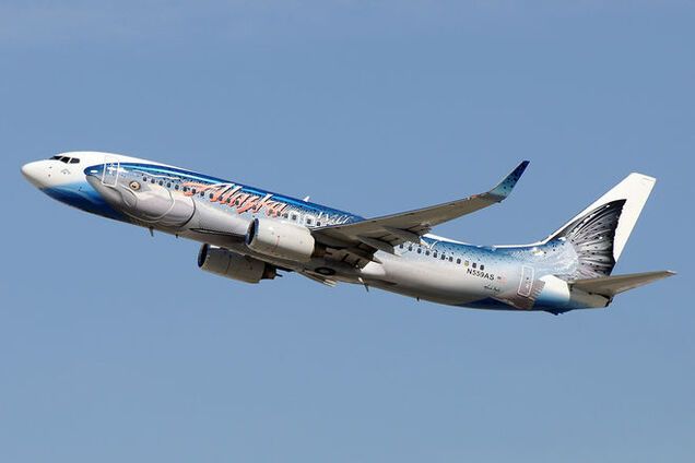 Самолет США совершил экстренную посадку из-за живого груза в багажном отсеке