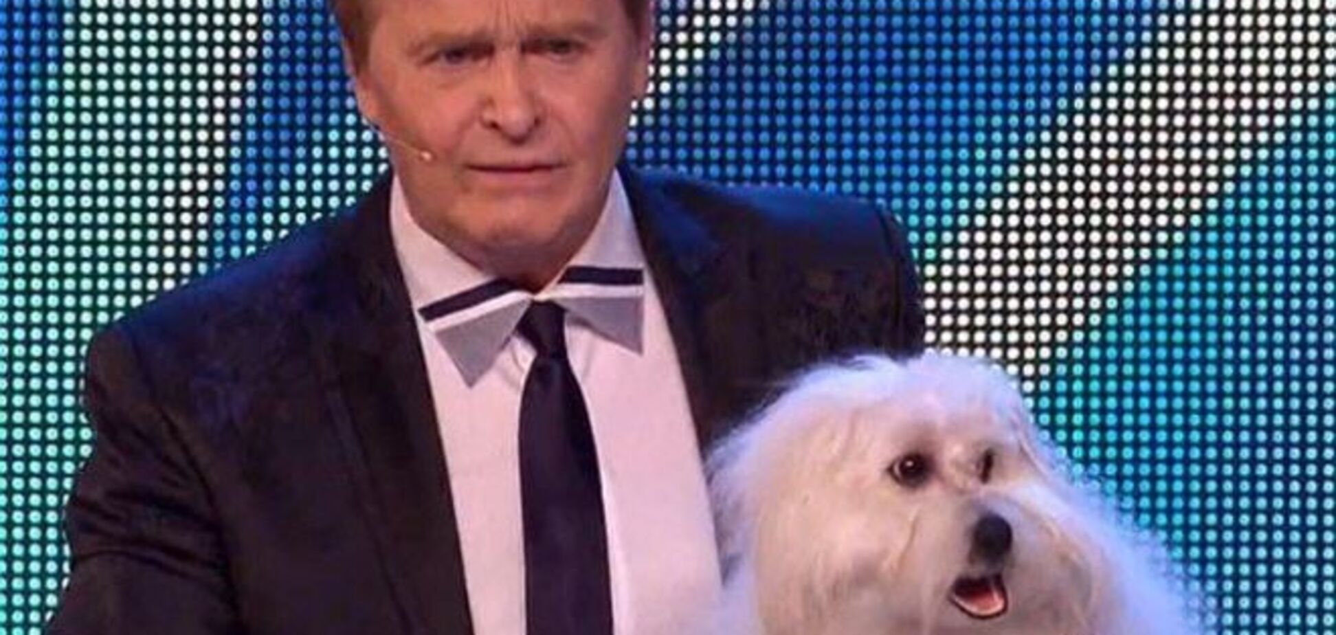 Раскрыт секрет говорящей собаки, взорвавшей шоу 'Британия ищет таланты'