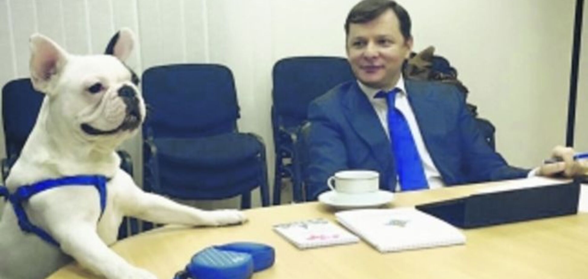 Заместитель Ляшко привел в партию своего бульдога: фотофакт