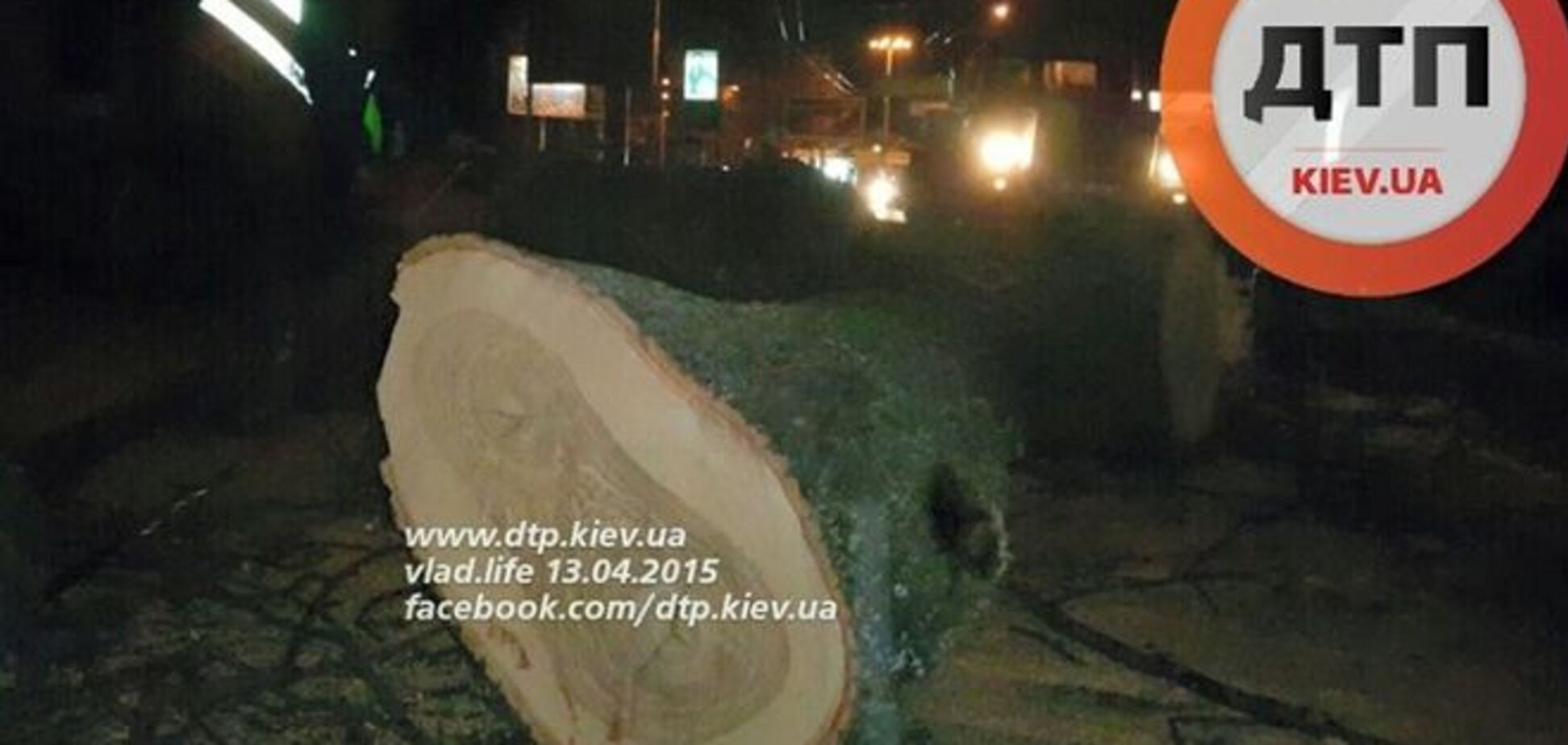В Киеве на дорогу упало огромное дерево: фотофакт