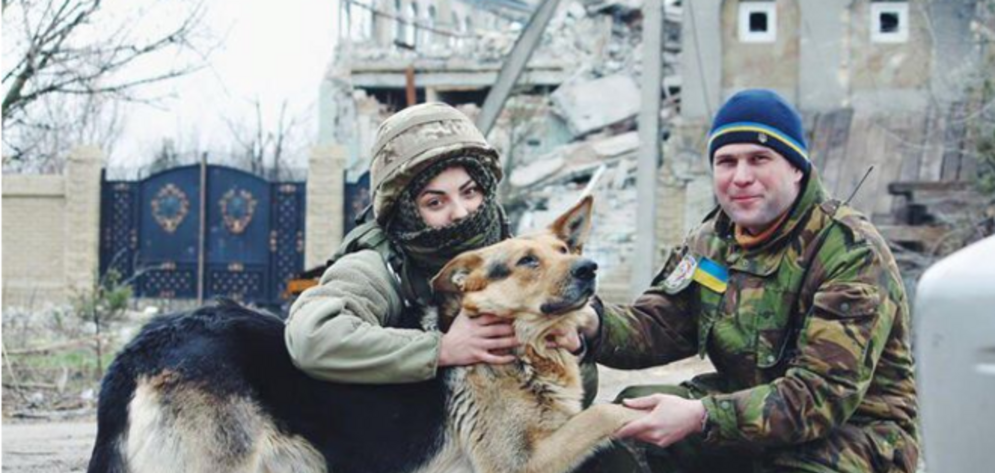 Собачий десант: животные предупреждают бойцов АТО об опасности
