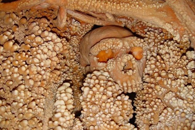 Ученые определили, кем был украшенный 'драгоценностями' 'человек из Альтмауры'