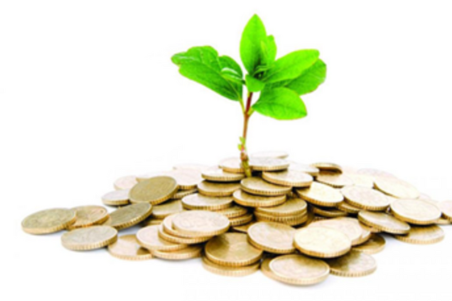 Названы самые прибыльные сферы бизнеса в Украине