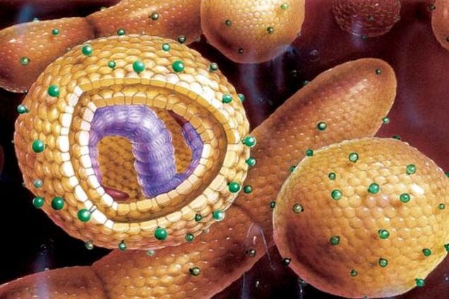 Реалии 'ЛНР'. По Луганску впервые за 20 лет ударил вирусный гепатит