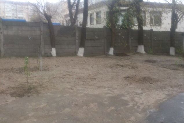 В Киеве 'герои парковки' ради авто вырывают на газонах кусты сирени