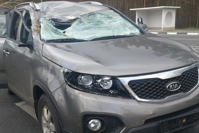 Под Киевом на джип упало дерево: фотофакт