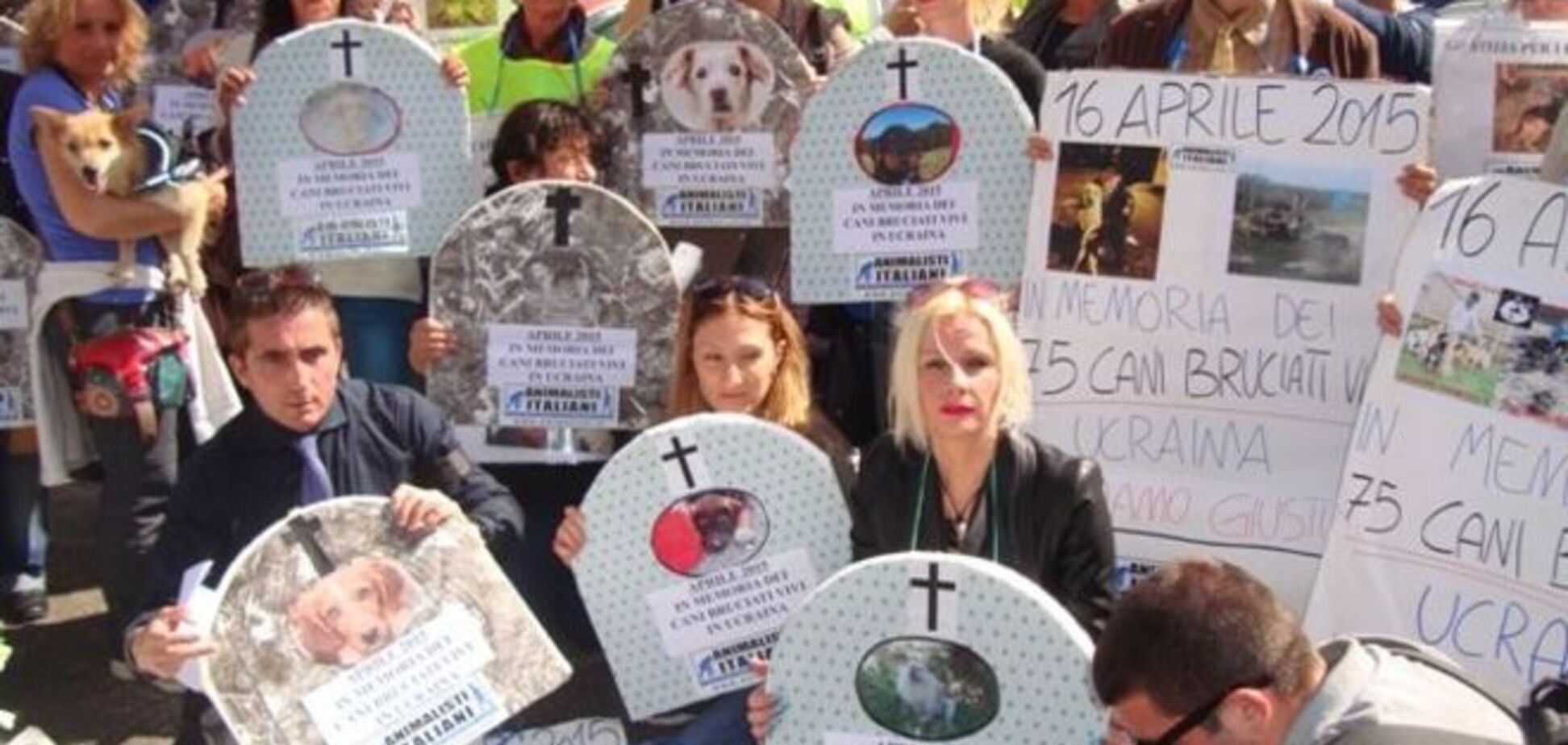 Итальянские анималисты требуют расследовать гибель собак на Киевщине