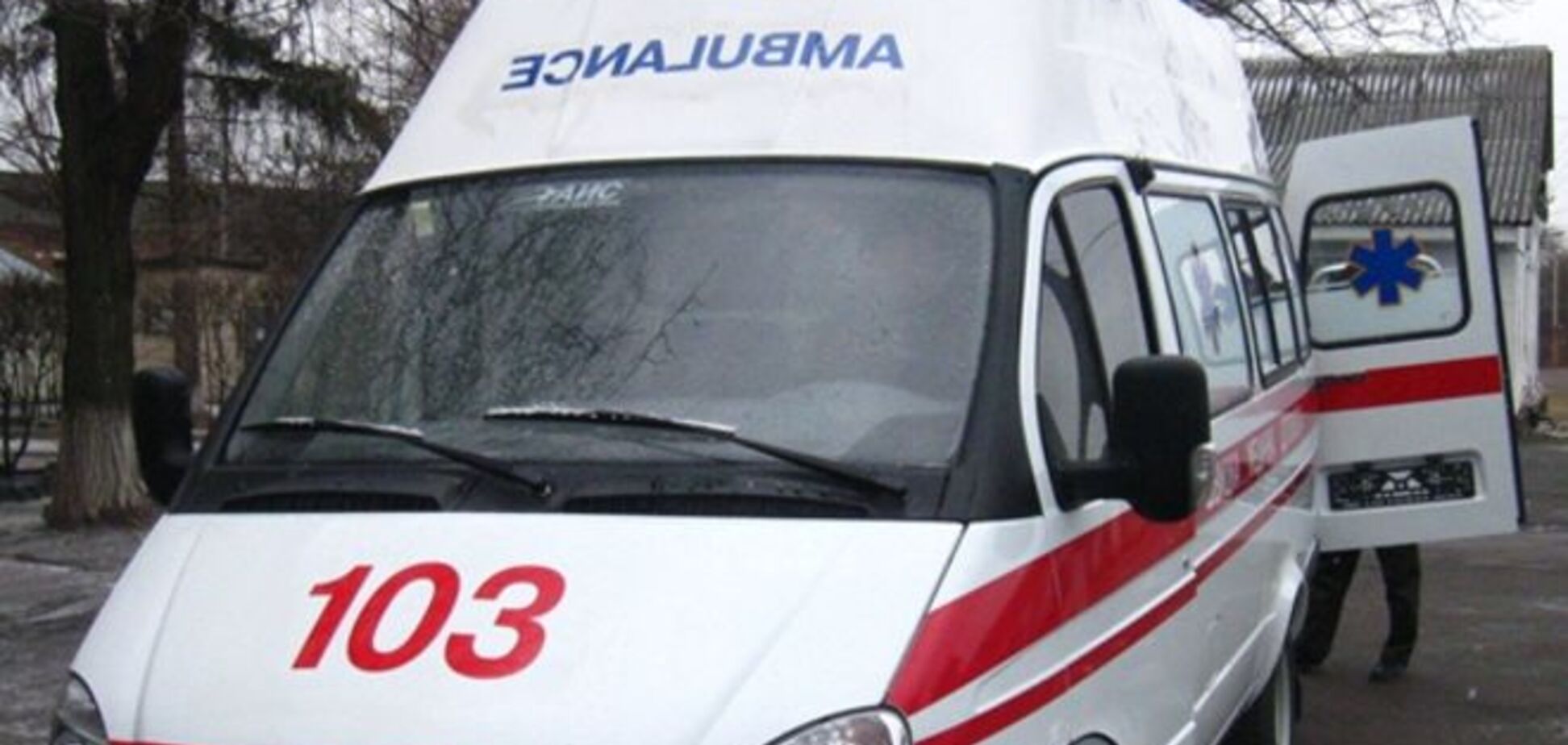 В Киеве на подростка упало дерево