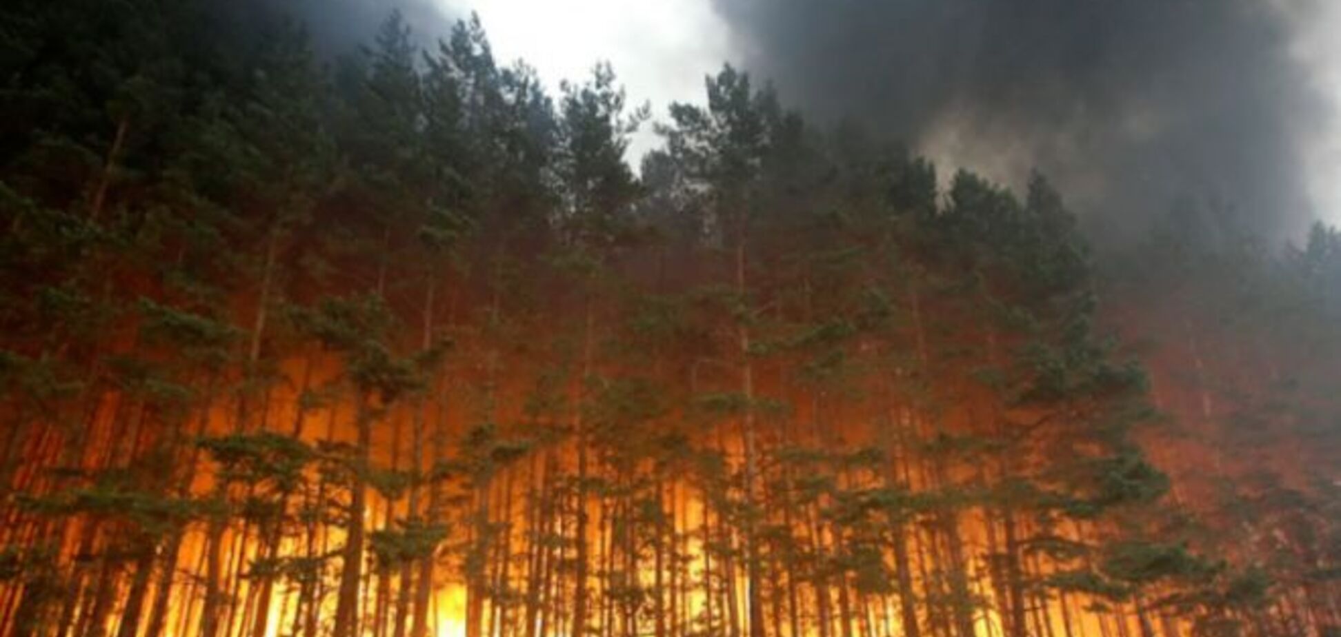 Для недопущения новых пожаров, на Забайкалье запретили продажу алкоголя