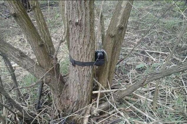 В парках Донецка к праздникам на деревьях развесили мины: фотофакт