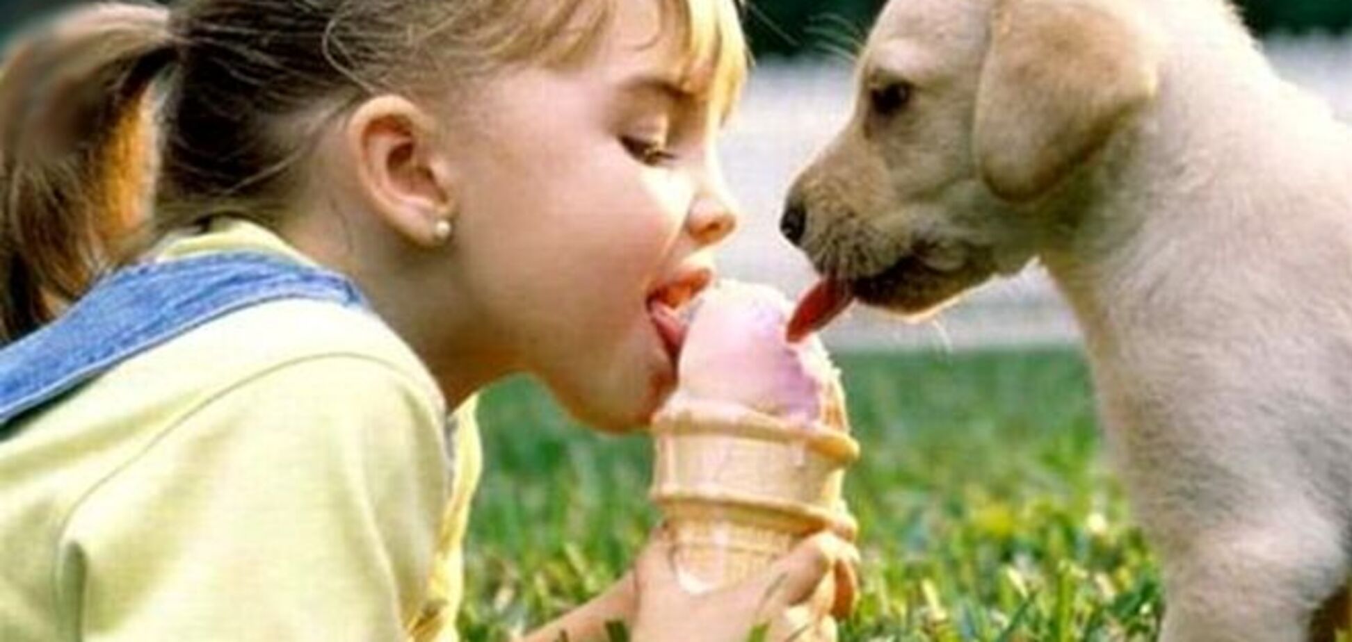 Ученые поняли, почему собака стала лучшим другом человека