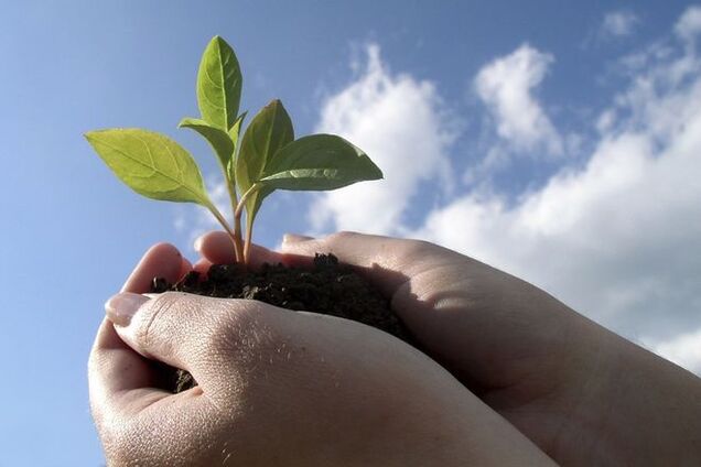 10 лайфхаков, которые помогут спасти экологию в Украине