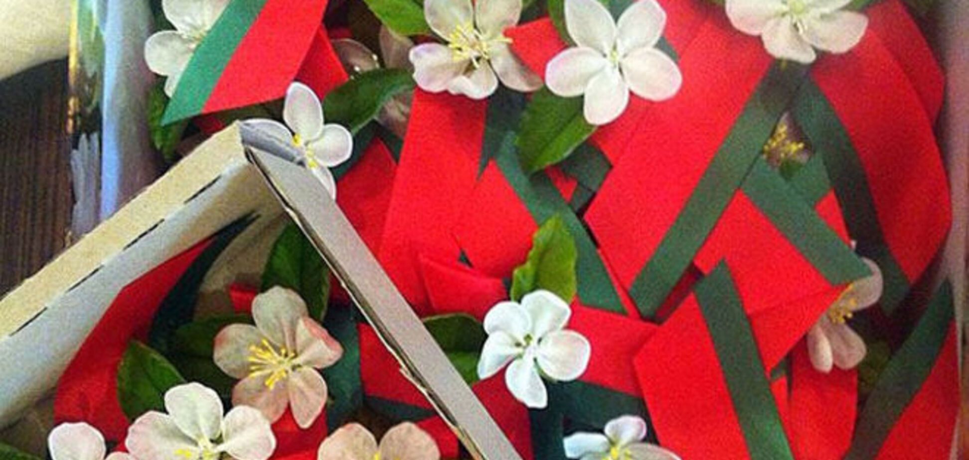 'Бацька' отказался от 'колорадской ленты': в Беларуси придумали 'Цветок Великой победы'