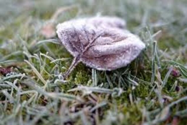 В Киеве похолодает: ожидаются заморозки