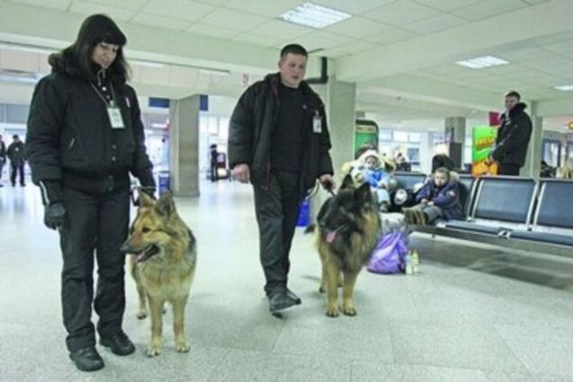 В 'Борисполе' служебные собаки учуяли в сумке пассажира… сало