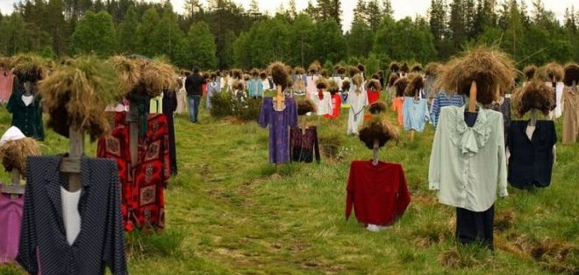 В Финляндии расцвело поле 'молчаливых людей': опубликованы фото