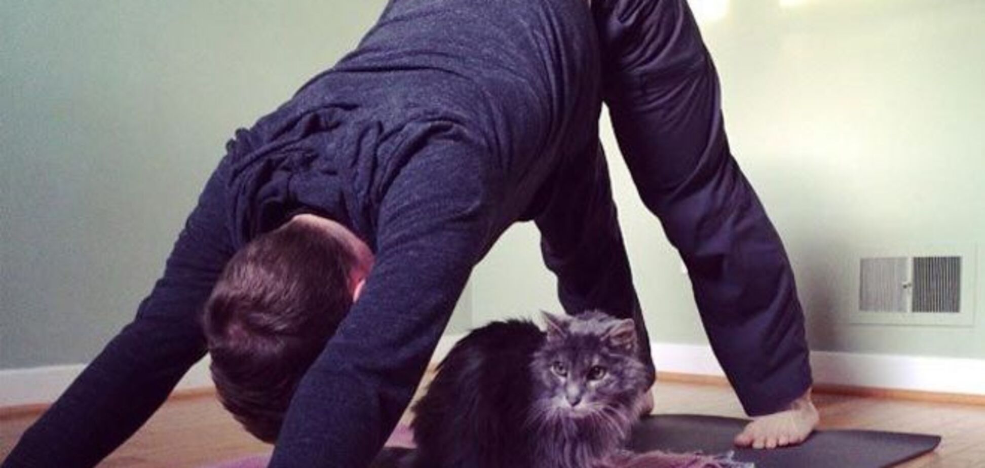 Почему парни никогда не должны заниматься йогой: 15 причин