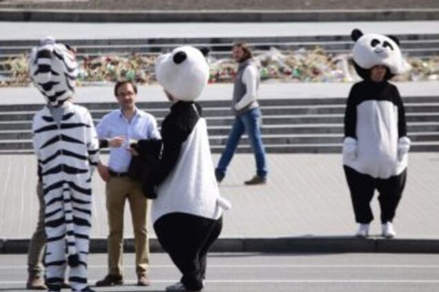 Панду геть! Майдан хотят очистить от птиц и зверей