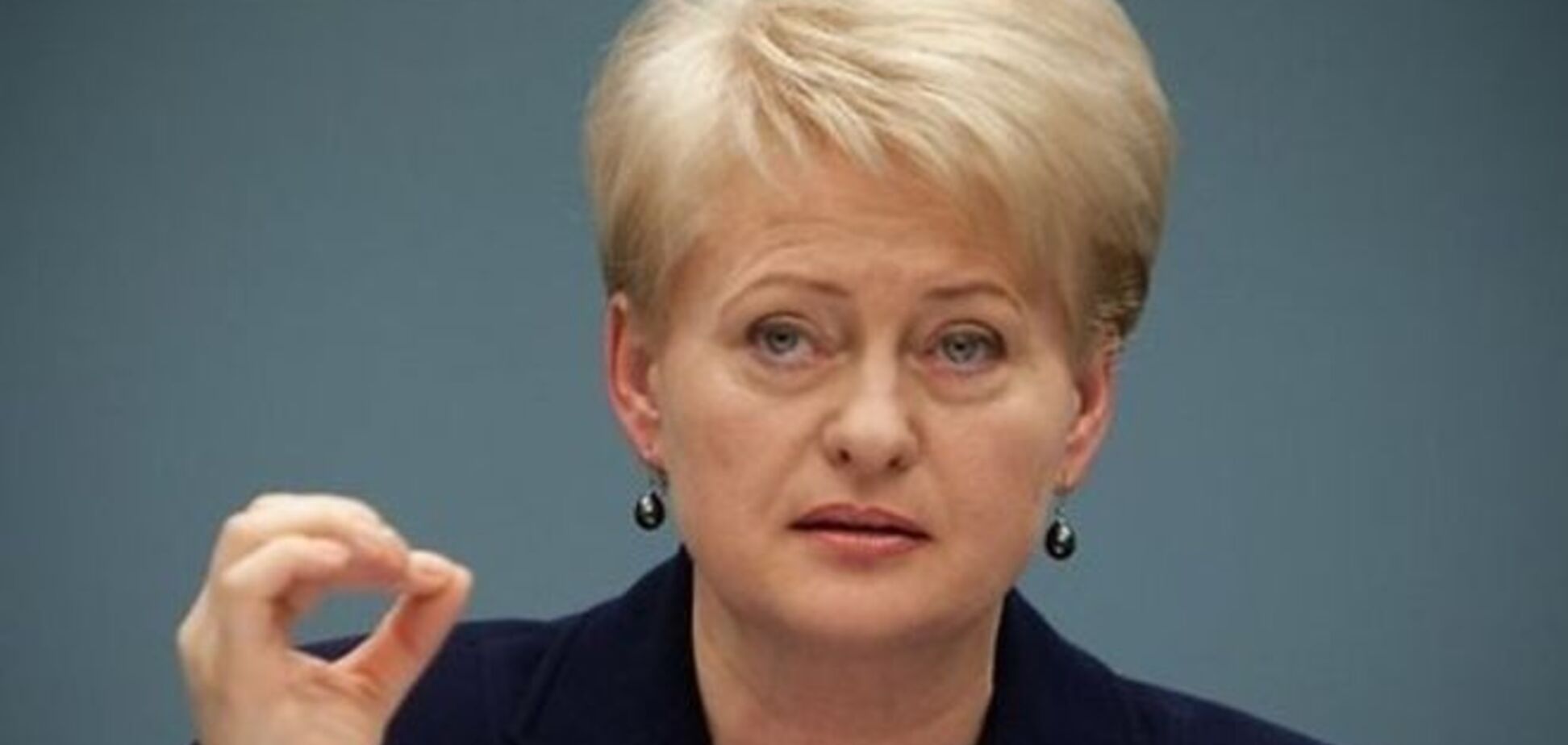 Президент Литвы выступила за усиление миссии ОБСЕ на Донбассе