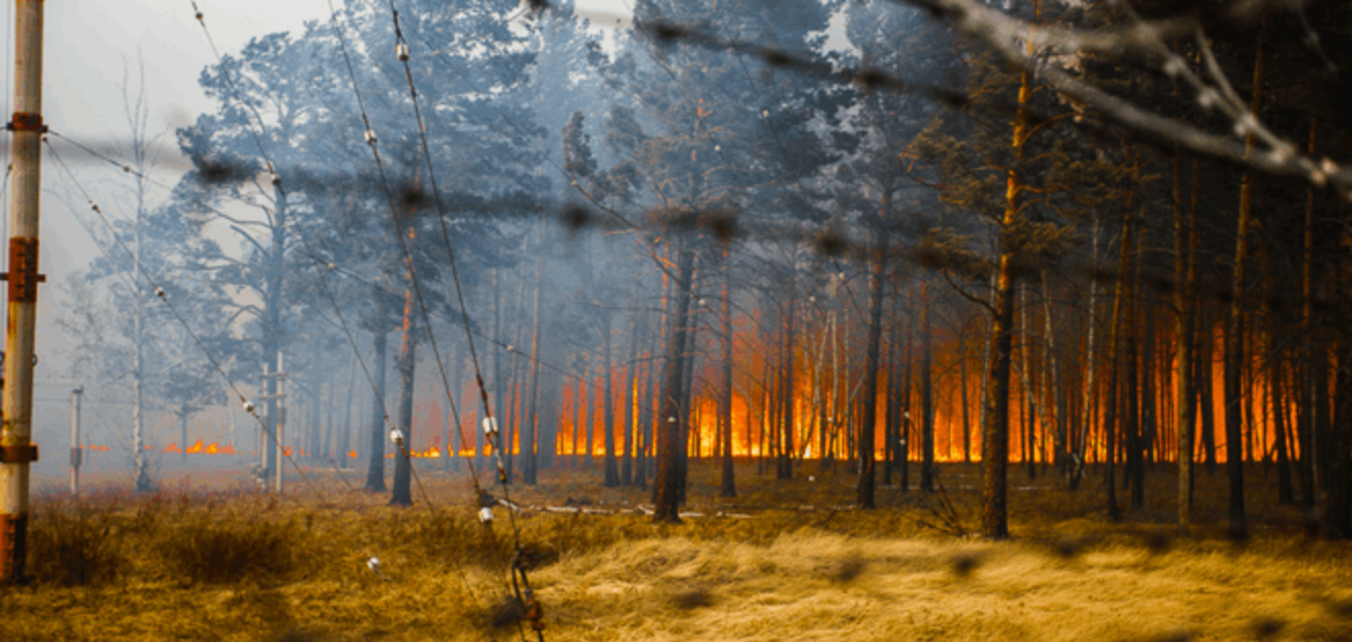 Через російські пожежі у Забайкаллі вже палає Монголія
