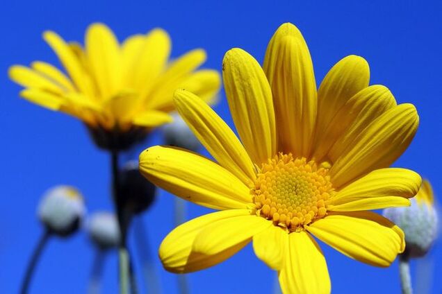 Человек, которому должна быть благодарна вся Украина