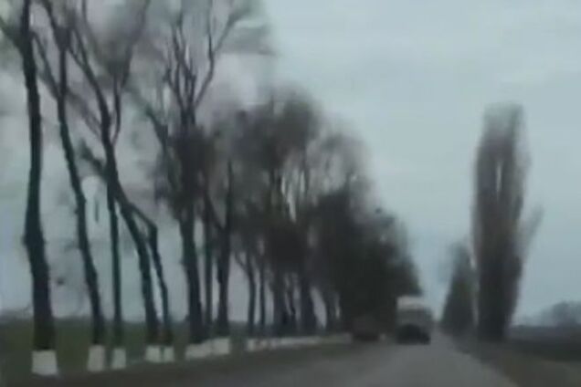 Коренной 'донбассовец' показал 'новороссам' украинские поля: вы так никогда не будете жить