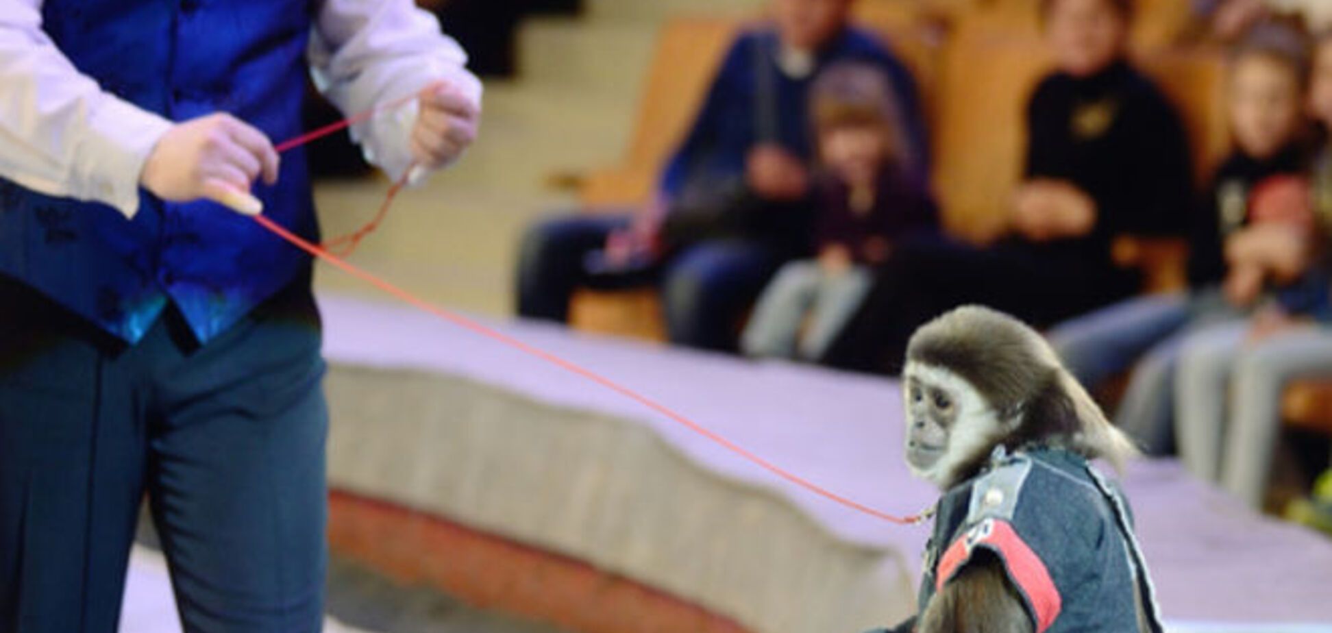 В России для ветеранов устроили шоу с обезьянами-нацистами