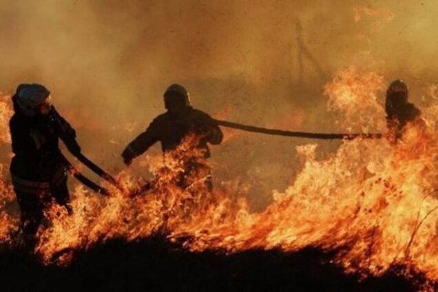 Нашли крайнего: вину за 'адские' пожары в Забайкалье возложили на местного