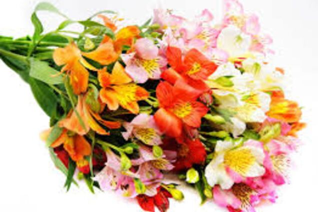 Онлайн магазины цветов: особенности и преимущества