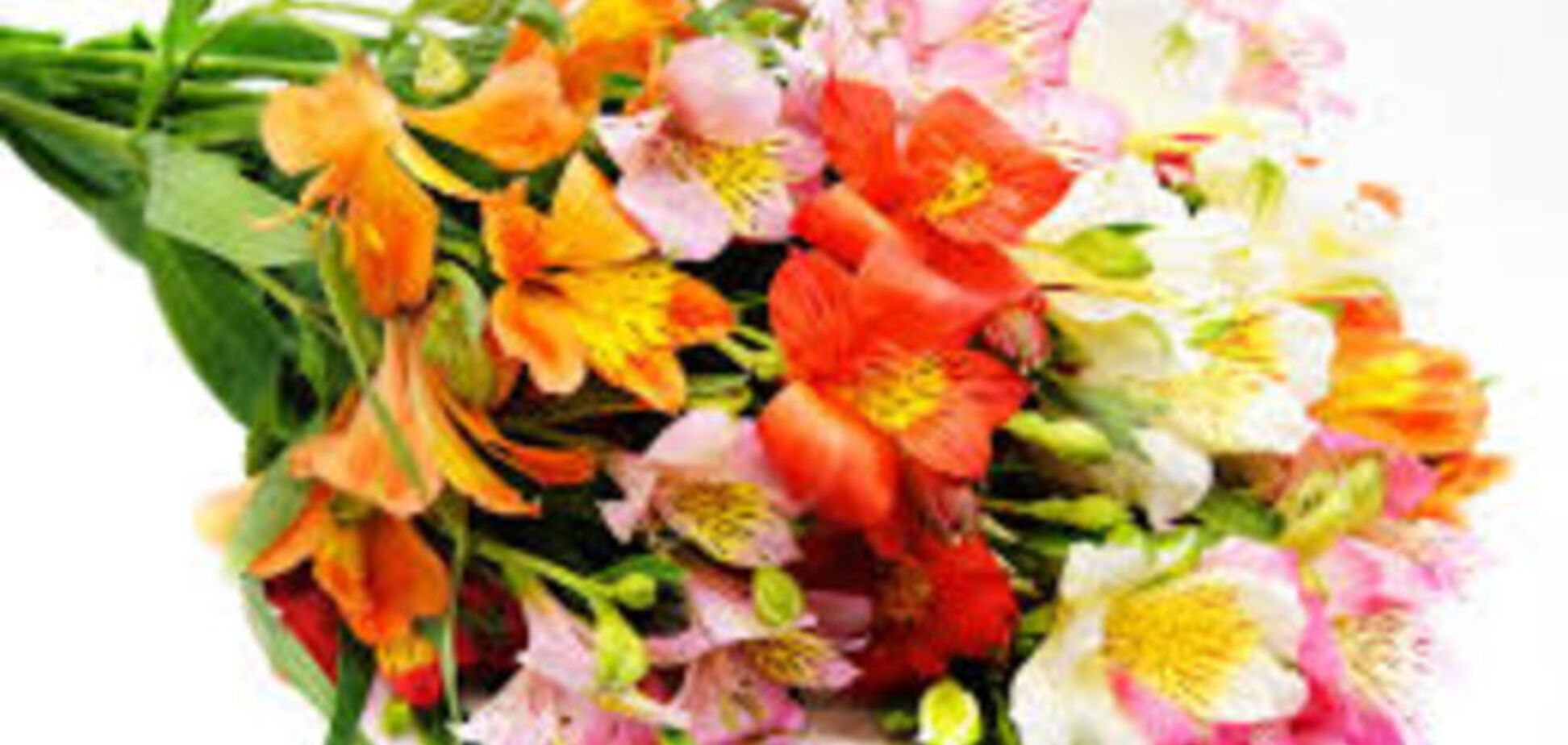 Онлайн магазины цветов: особенности и преимущества