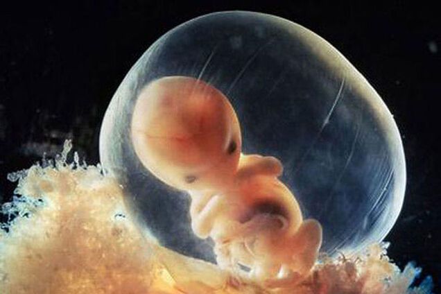 В Китае ученые впервые изменили гены в зародыше человека