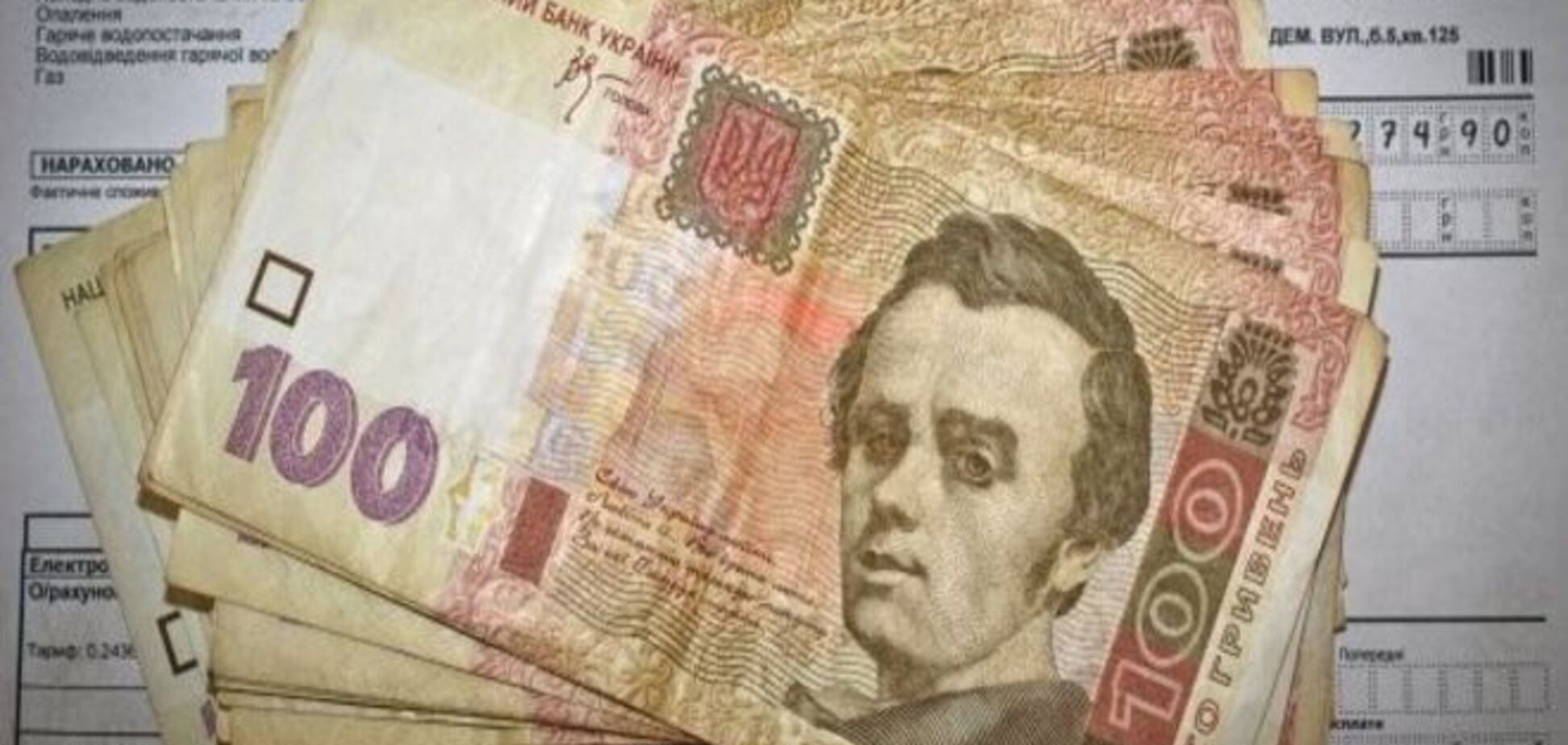 Экономист назвал главную опасность новой реформы субсидий в Украине