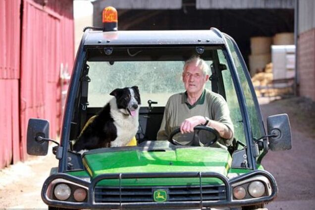 ДТП в Шотландии: собака угнала трактор