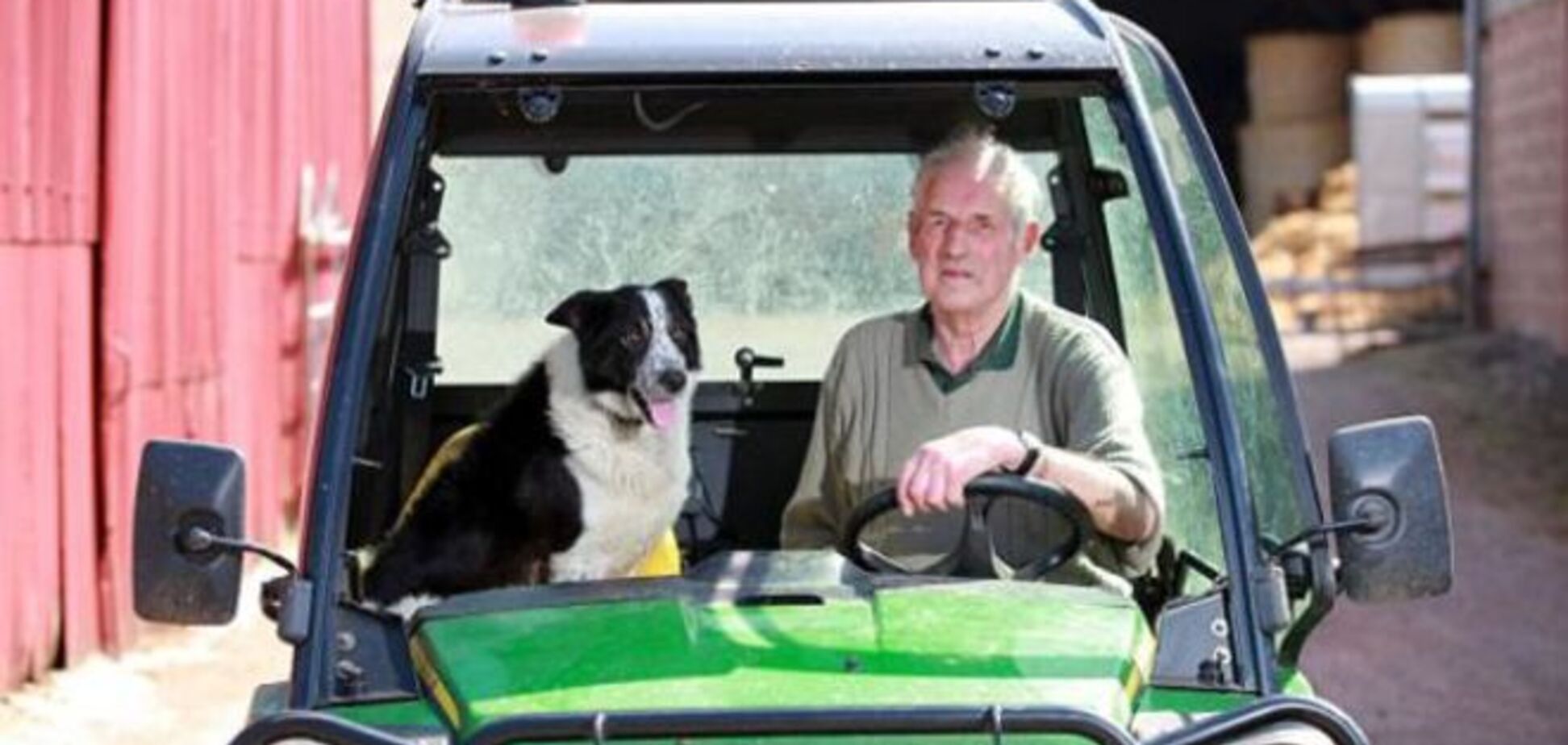 ДТП в Шотландии: собака угнала трактор