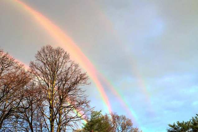 В небе Нью-Йорком 'расцвели' сразу четыре радуги: фото