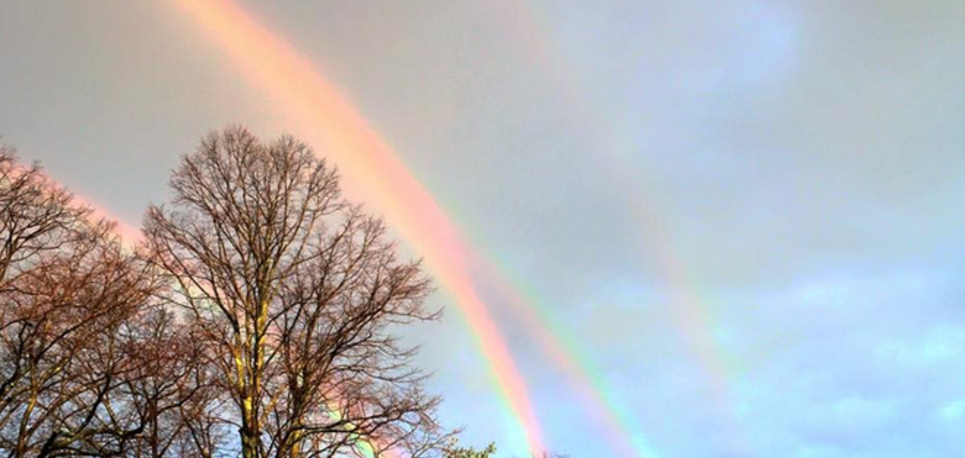 В небе Нью-Йорком 'расцвели' сразу четыре радуги: фото