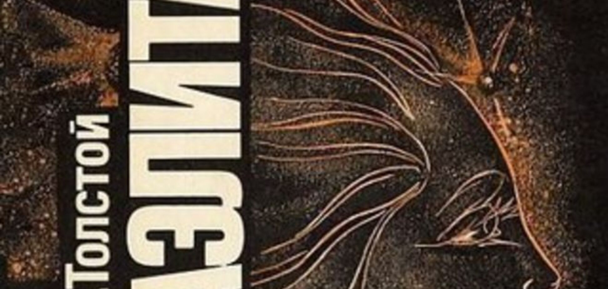 Шайтан! Чеченские боксеры сорвали международный турнир из-за 'нечистой силы'